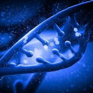 平行反應監(jiān)測技術(PRM) 實驗服務